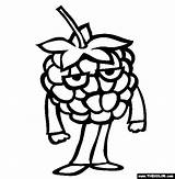 Raspberry Coloring Pages Fruit Getdrawings Drawing Thecolor Rapberry sketch template