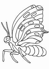 Papillon Hugolescargot Papillons sketch template