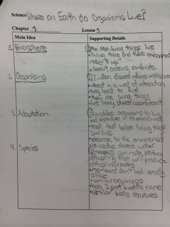 cornell note  cornell notes student work student