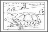 Tortoise Desert Coloring Supplement Classroom Unit Would Great Life Make sketch template