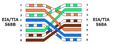 diagram cat  cable pinout diagram mydiagramonline