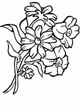 Pages Coloring Plants Flowers Coloringonly sketch template