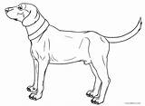 Coloring Dog Pages Weiner Getdrawings Weenie sketch template
