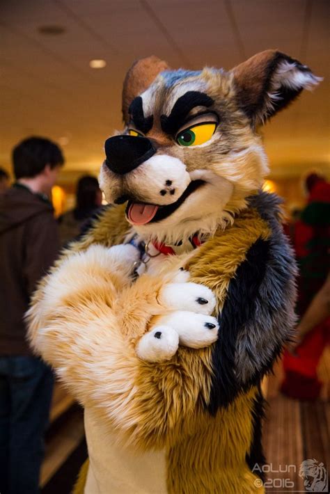 the world s best photos of furryweekendatlanta2016