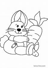 Carotte Lapin Coloriage Imprimer Karotte Hase Feuille Ostern sketch template