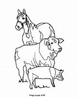 Cow Printable Coloring Horse Pig Pages Library Popular sketch template