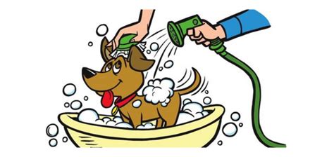 barks  bubbles pet spa langdon district chamber  commerce