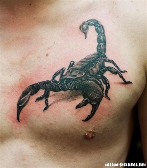 3d Scorpion Tattoo Designs Tattoo Designs