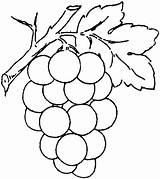 Grape Coloring Grapes Color Pages Supercoloring sketch template
