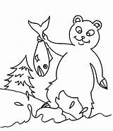 Bear Coloring Pages Color Print Animals Animal Sheets Back sketch template