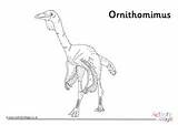 Colouring Ornithomimus Dinosaur Dinosaurs sketch template