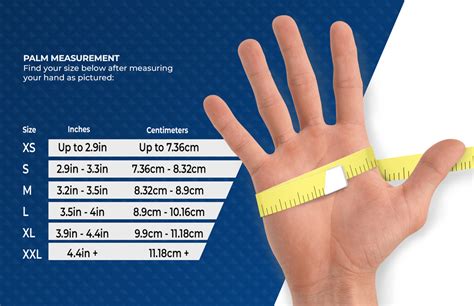 glove size chart ammex  glove partner
