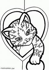 Pages Coloring Cute Cat Heart Kitten Kids Printable Colouring Hearts Colour Color Valentine Sheets Adults Kittens Realistic Adult Colring Print sketch template