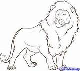 Lion Drawing Draw Easy Step Drawings Sketch Simple Pencil Lions Search Cub Aslan Dragoart Animals Clipart Animal Kids Coloring Yahoo sketch template