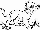 Pages Zira Lion King Medium Colouring Coloring sketch template