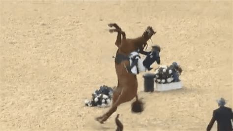 video pentathlon  cheval se cabre  ecrase son cavalier