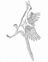 Coloring Dinosaur Archaeopteryx Pages Realistic Printable Designlooter Library Clipart Popular Easy Sketch sketch template