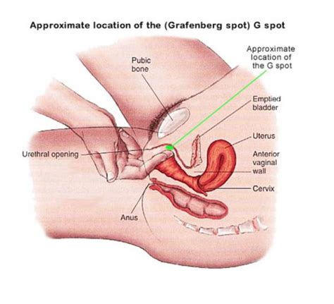 Which Sexual Positions Stimulate The G Spot