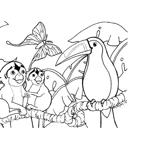 coloring pages  rainforest animals color  pages coloring pages