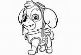 Pages Patrol Paw Nick Jr Coloring Getcolorings sketch template