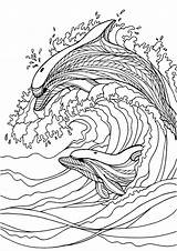 Dolphins Adults Eckersleys Zentangle Tinta sketch template