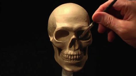 Sculpting A Human Skull In Clay Part 3 Of 3 Youtube