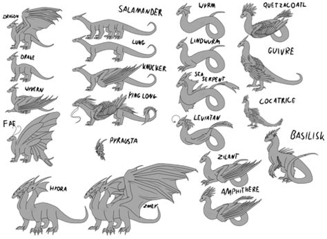 types  dragons fandom