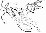 Pages Coloring Parker Peter Getcolorings Spiderman Colouring Printable sketch template