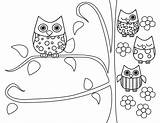 Coloring Pages Owl Cute Popular Owls sketch template