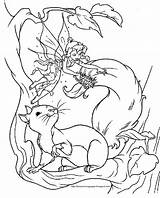 Fairies Squirrel sketch template