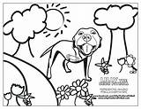 Coloring Pages Pit Getdrawings Bay sketch template