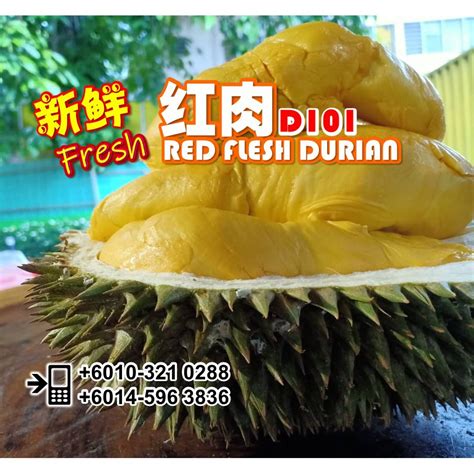 red flesh durian gram kl selangor  shopee malaysia