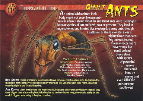 giant ants weird  wild creatures wiki fandom