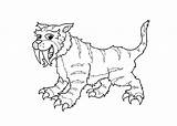 Saber Coloring Tooth Pages Tiger Sabertooth sketch template