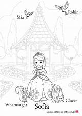 Sofia Princesa Princesita Conejo Amigos Pajarito Laminas Coloring Publicado Agencia Informacion sketch template