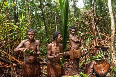 meski memang kanibal suku korowai papua menyantap manusia melanggar