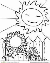 Coloring Pages Sunny Weather Seasons Four Sun Worksheets Season Sunflower Getcolorings Designlooter Worksheet Color 11kb 382px Getdrawings sketch template