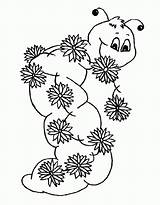 Coloring Caterpillar Pages Popular sketch template