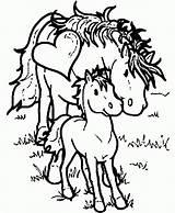 Horse Coloring Pages Baby Printable Kawaii Horses Sheets Popular Barbie Animals sketch template