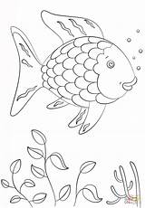Fish Rainbow Coloring Pages Book Choose Board sketch template