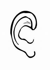 Ear Coloring Large sketch template
