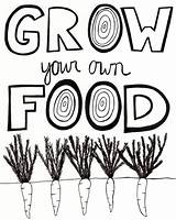 Grow Drawing Foods Go Glow Food Own Getdrawings Wordpress sketch template