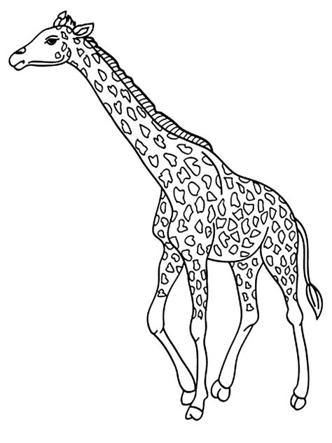 giraffe  spots coloring page coloring pages