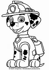 Paw Patrol Marshall Coloring Pages Printable Drawing Pdf Print Thanksgiving Kids Colouring Color Getdrawings Getcolorings Cartonionline sketch template