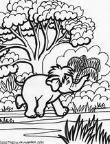 Coloring Kids Pages Animals Jungle Colouring Elephant African Popular Inspired Rainforest sketch template