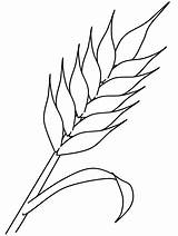 Coloring Pages Wheat Autumn Kids Book Print Coloringpagebook Crafts Colouring Communion Banner Crops Printable Gif First Easily Fall Advertisement Choose sketch template