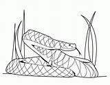 Coloring Python Pages Library Clipart Snake sketch template