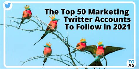 marketing twitter accounts  follow    advertising guide