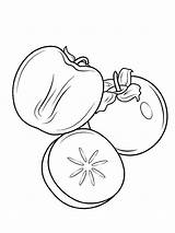 Persimmon Fruits Frutta Caco Impressionante sketch template
