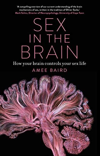 Sex In The Brain How Your Brain Controls Your Sex Life By Amee Baird